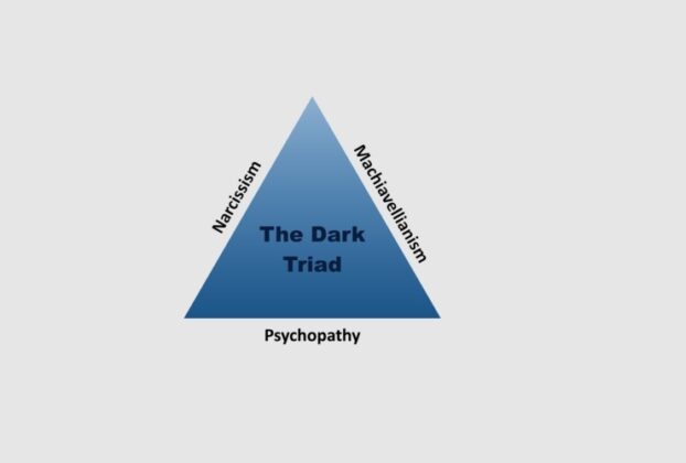 What is Dark Triad Traits and How to understand them?